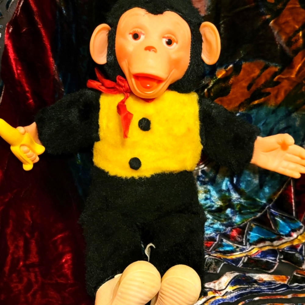 COPY - Zippy the chimpanzee